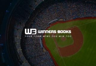 Web Design for Winners Book